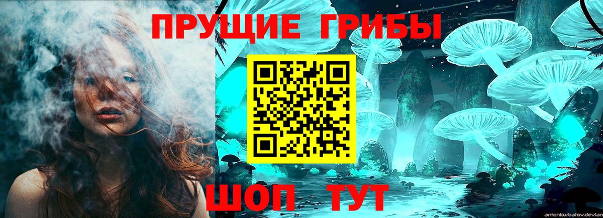 Галлюциногенные грибы Psilocybine cubensis  Псилоцибиновые грибы Magic Shrooms  Городец  Вход с VPN 